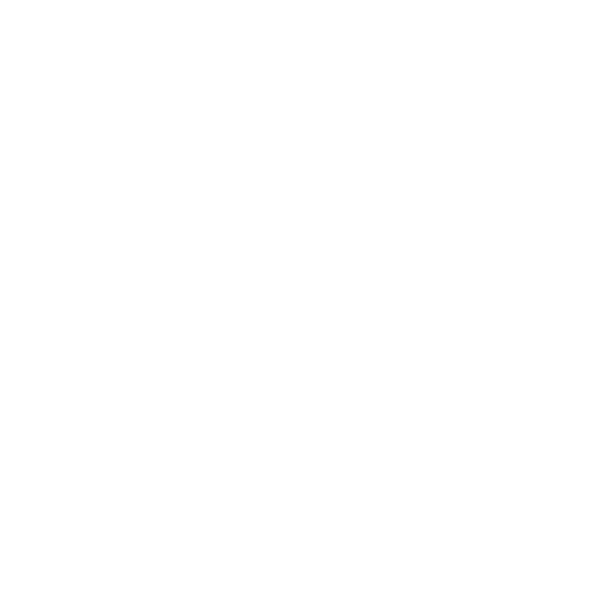 Surfin' Dawg