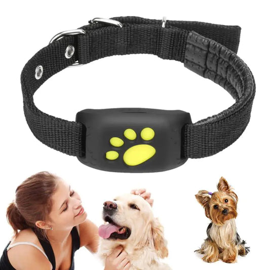 WeVHaRHWJzuIBmm.webp